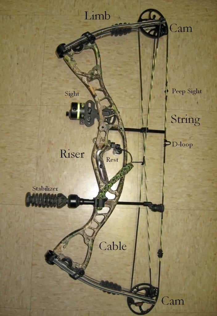 feet persecond compound bow