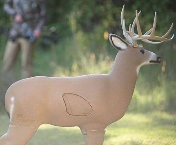 Big Shooter Buck 3D Archery Target